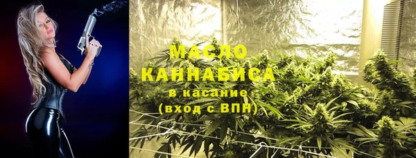 винт Абаза
