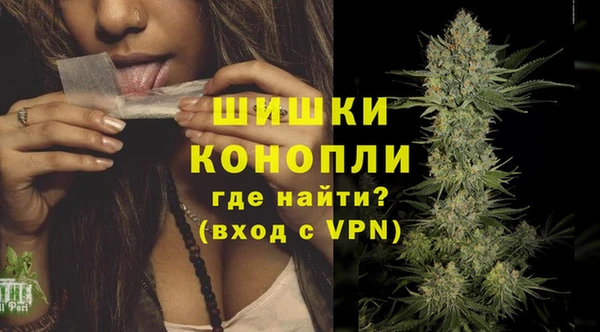 молекула духа Семикаракорск
