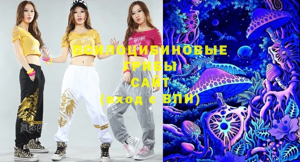 винт Абаза