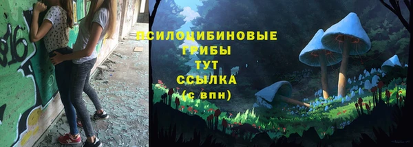 СК Алексин